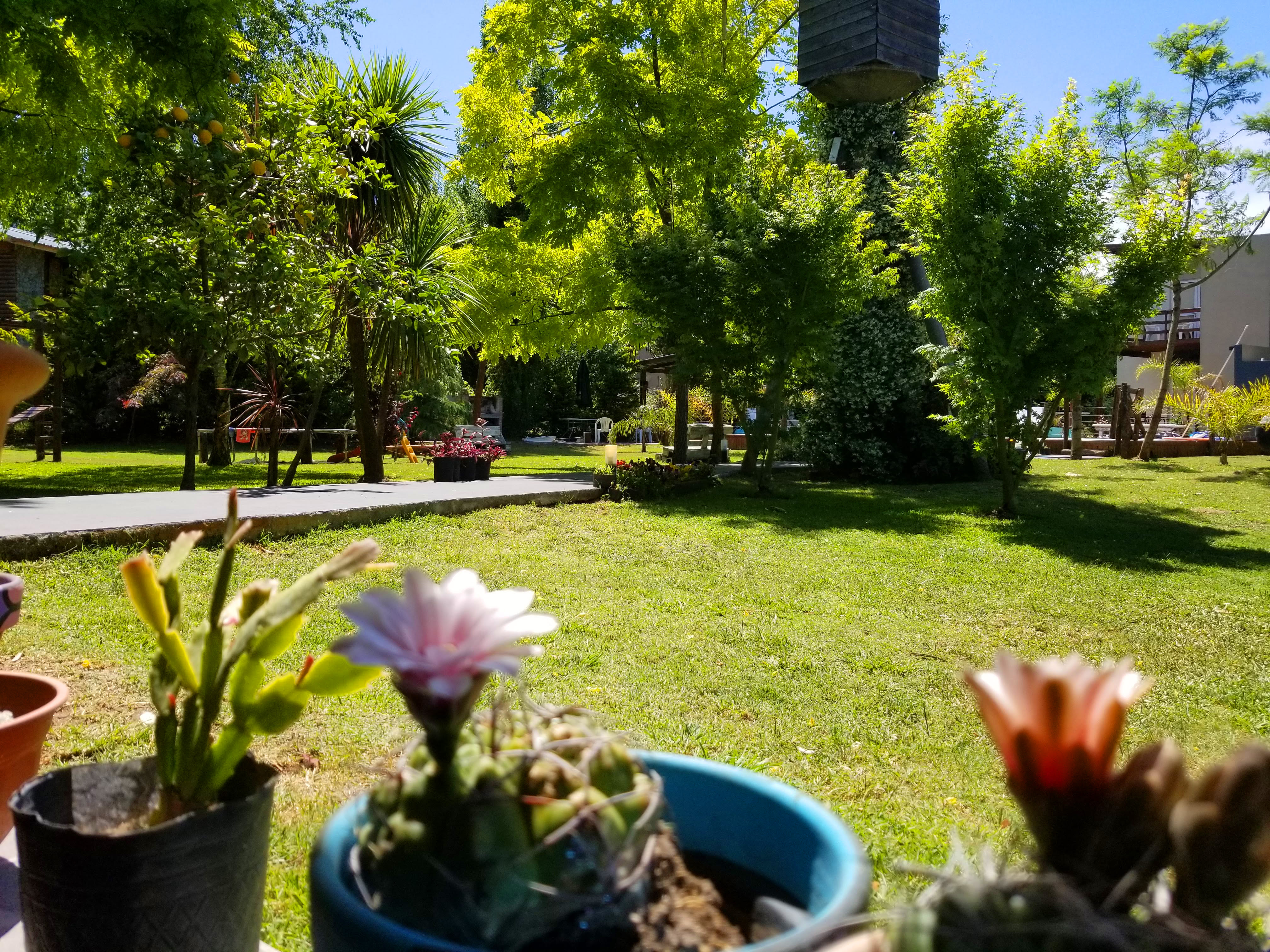 Parque con hermosos colores verdes